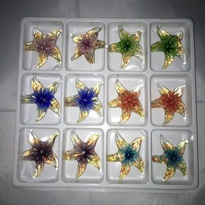 Murano Glass Star Fish. Twelve Piece s
